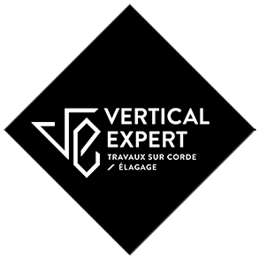 Vertical Expert